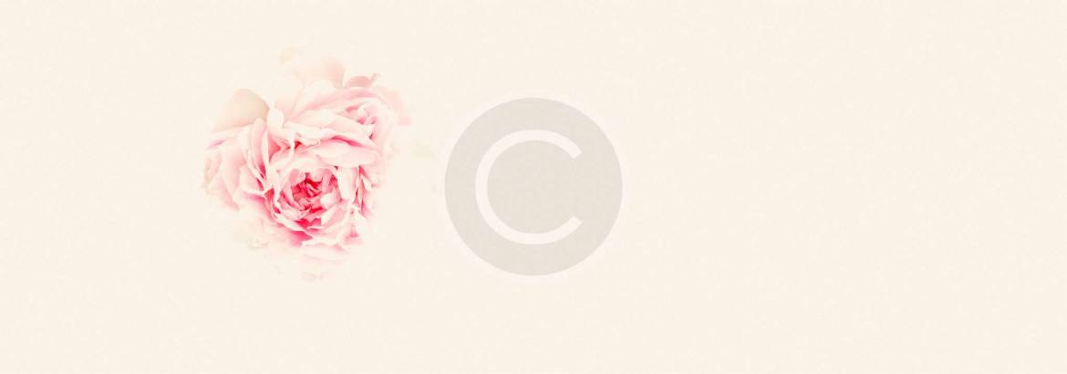 background-3.jpg