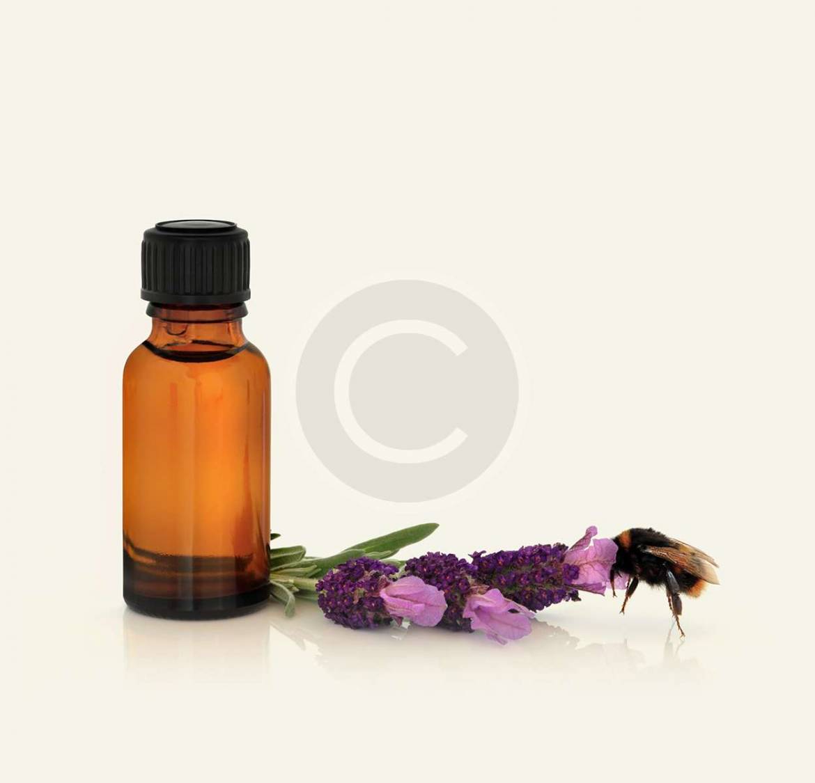 product-2.jpg