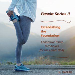 Fascia Series II: Establishing the Foundation - Connective Tissue Techniques for the Lower Body - 15 CEUs ** Registration Link in Description **