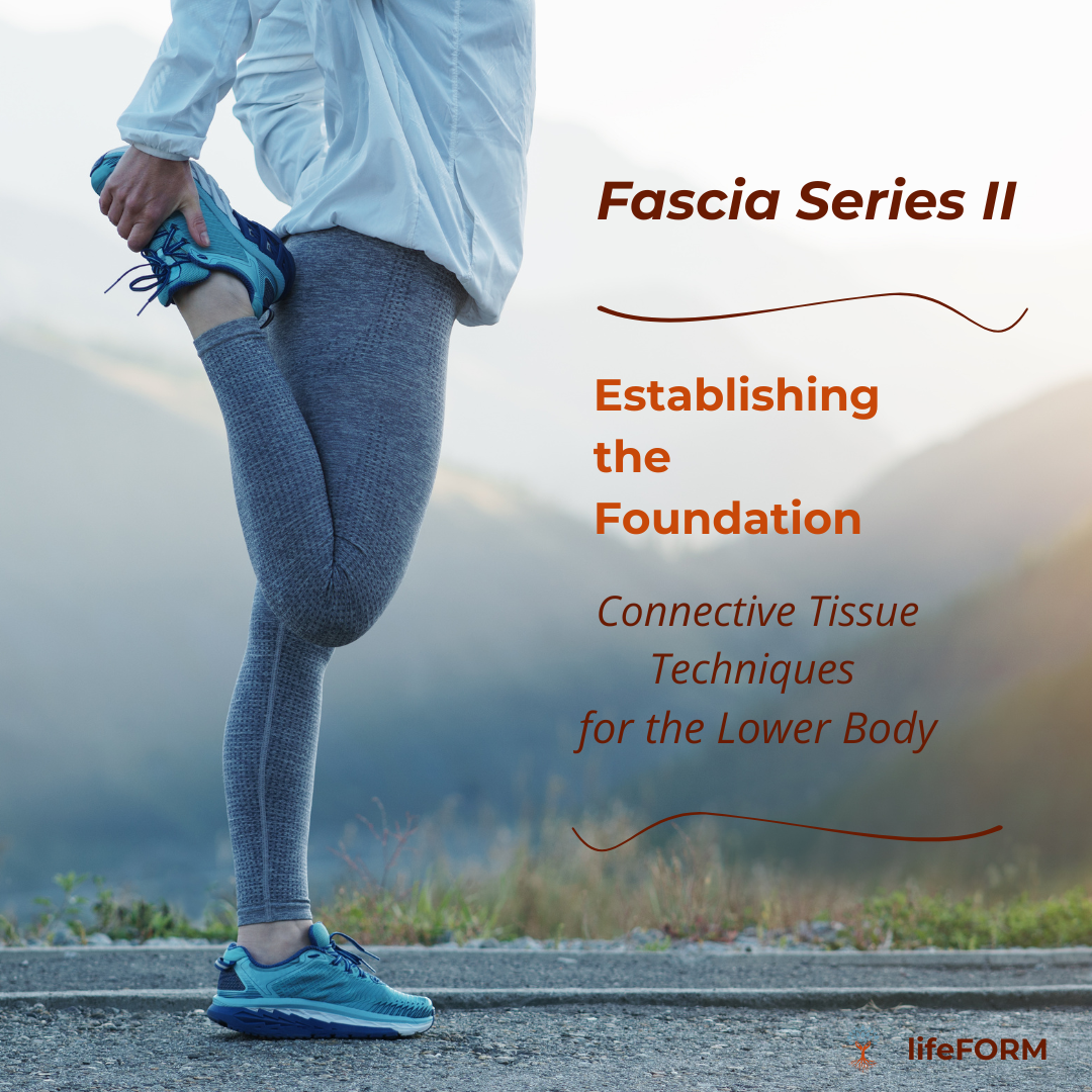 Fascia Series II: Establishing the Foundation - Connective Tissue Techniques for the Lower Body - 15 CEUs ** Registration Link in Description **