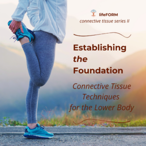 Establishing the Foundation - Connective Tissue Techniques for the Lower Body - 15 CEUs ** Registration Link in Description **